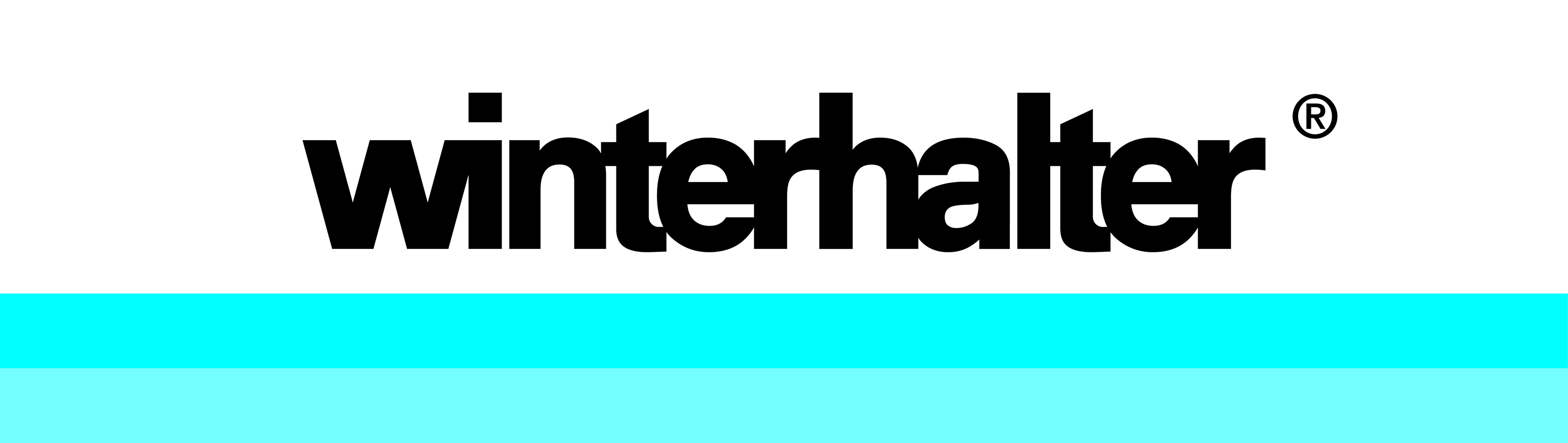 Winterhalter Logo NEU home
