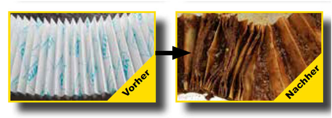 vito vorher nachher